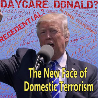 Trump - Domestic Terrorism